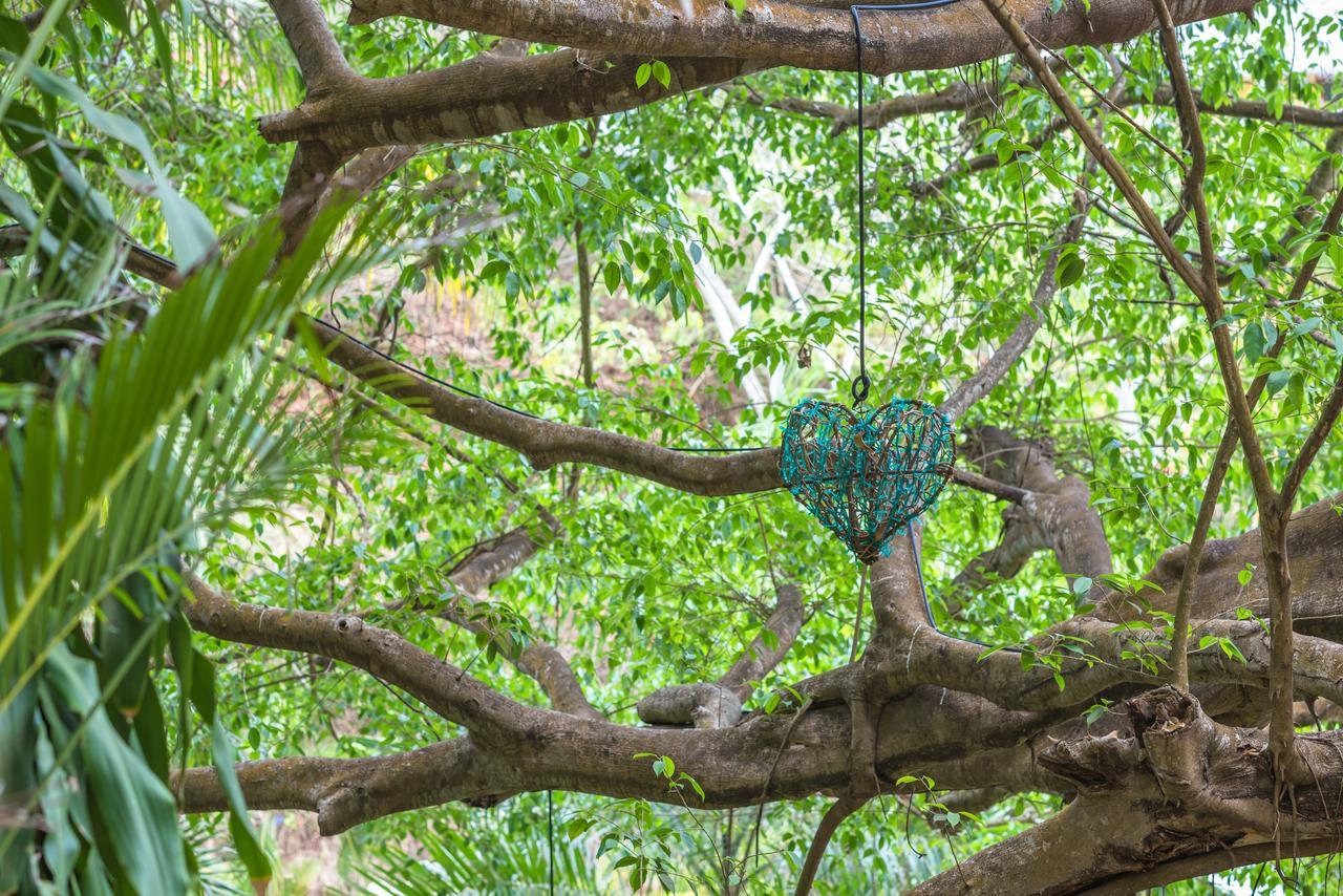 Amor Boutique Hotel Sayulita Eksteriør bilde