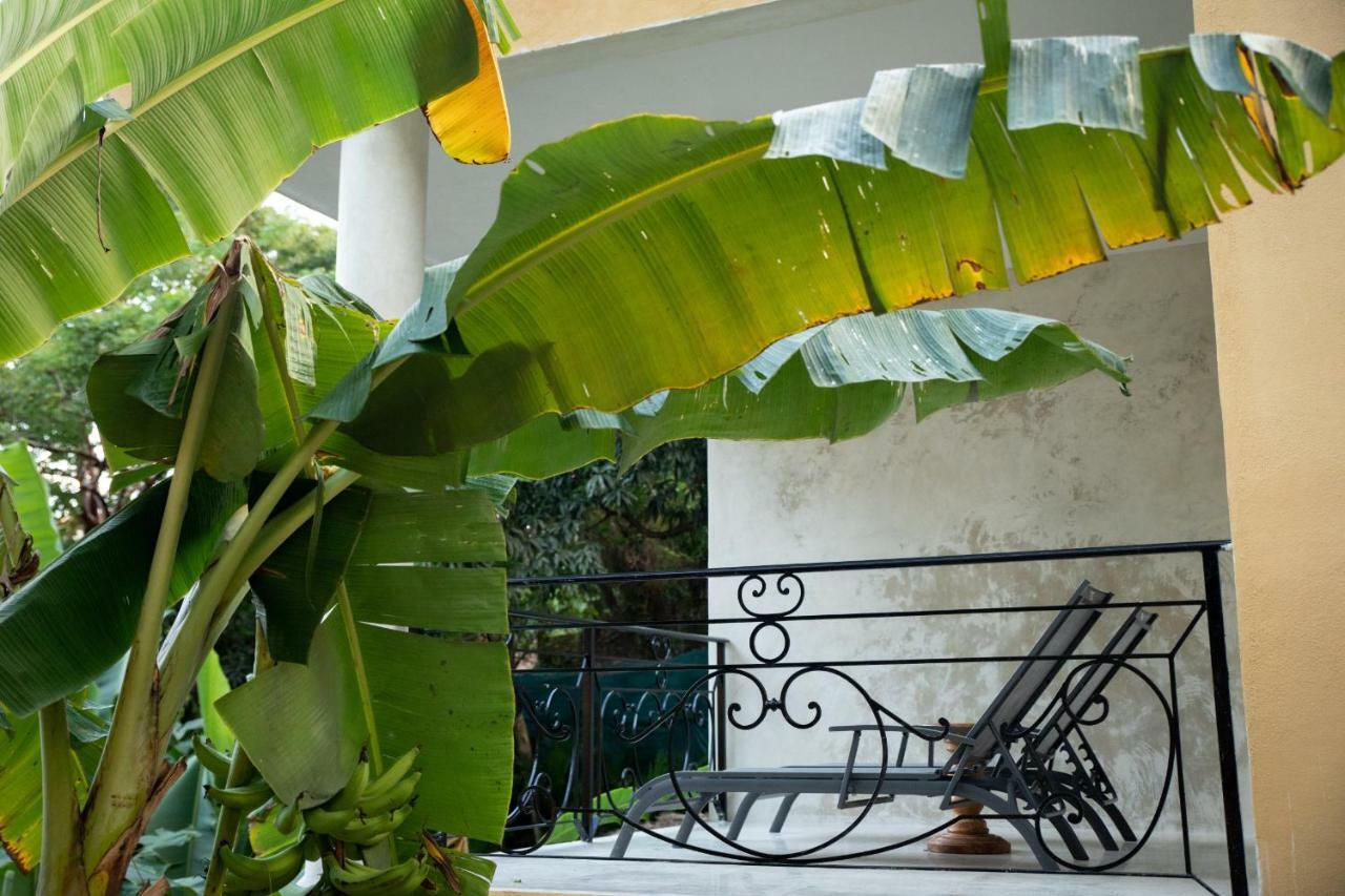 Amor Boutique Hotel Sayulita Eksteriør bilde